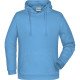 JN796 - Sweat capuche Homme