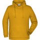 JN796 - Sweat capuche Homme