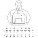 N51P - RAGLAN PULLOVER HOODIE