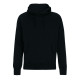 N51P - RAGLAN PULLOVER HOODIE