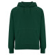 N51P - RAGLAN PULLOVER HOODIE