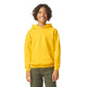 SF500B - SOFTSTYLE® MIDWEIGHT FLEECE YOUTH HOODIE